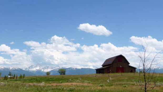 barn-view