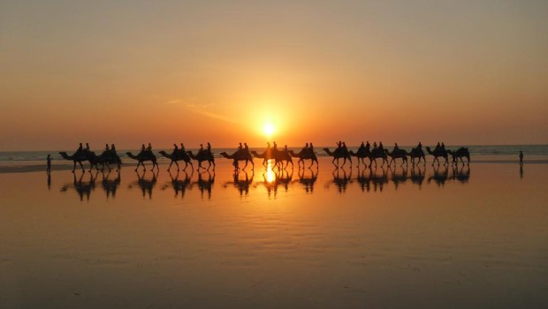 beautiful-camels-broome