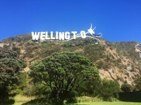 first-week-new-zealand